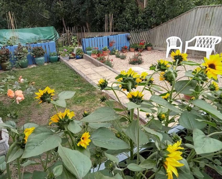 House With Free Parking And Large Garden Villa Wyke Regis Buitenkant foto